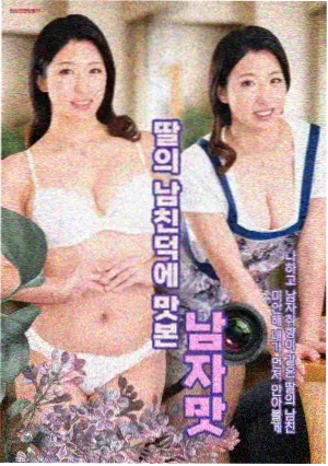 沈砚之作品集封面
